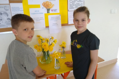 282120562_1062691801040358_7831371133252824358_n