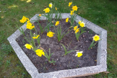 282571258_760335512012963_2387520135390065267_n