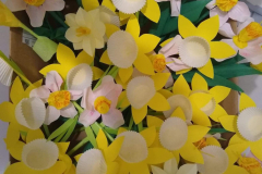 282700837_763976714601515_2238350942471323823_n