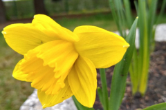 283420447_352399663546651_5104653998489904547_n