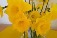 283758901_771444390931313_9195856593296163136_n