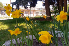 283967729_977926379572952_3624018655379209688_n