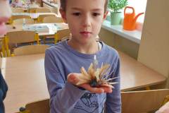 351046185_808081910652960_3833871328499449283_n