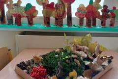 351636849_1640078883083753_405349855052322026_n