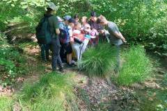 351714817_644184227155904_5713296126948798039_n