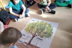 411485462_289114567488009_2711370858111280664_n