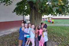 411491676_1860771344377609_648476680849467132_n